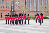 Grenadier Guards dressing